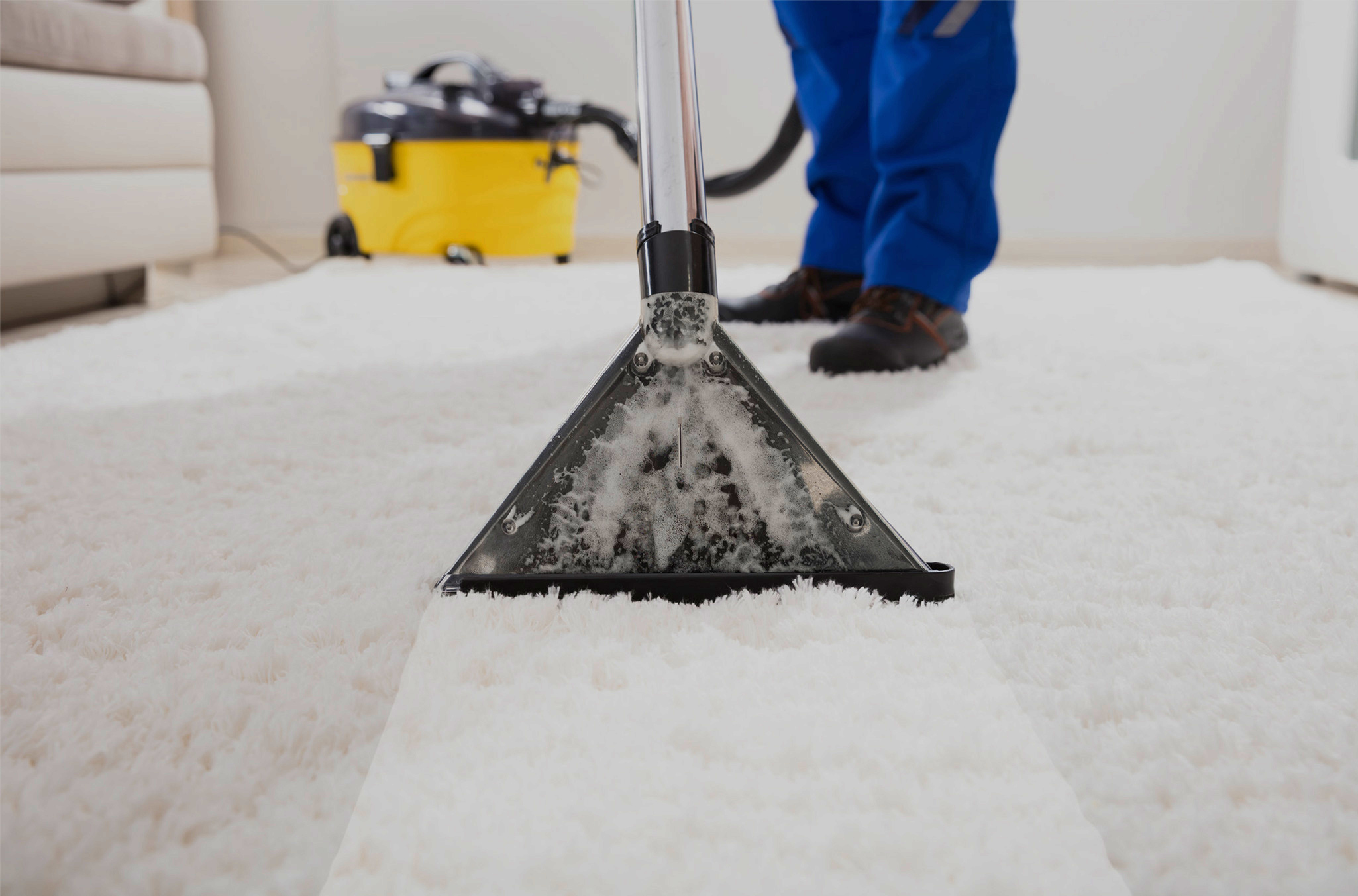 https://carpetrepairshampshire.co.uk/wp-content/uploads/2026/02/Carpet-Cleaning-Homepage-1.jpg